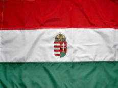 La bandiera dell'Ungheria