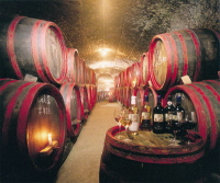 La cantina di vino ad Eger